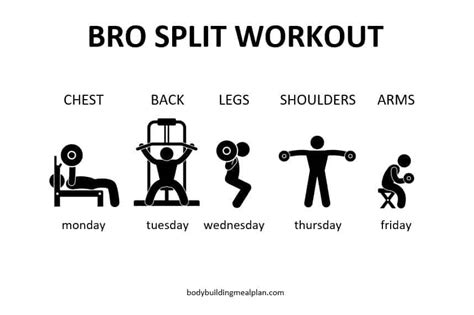 Bro Split Workout Plan