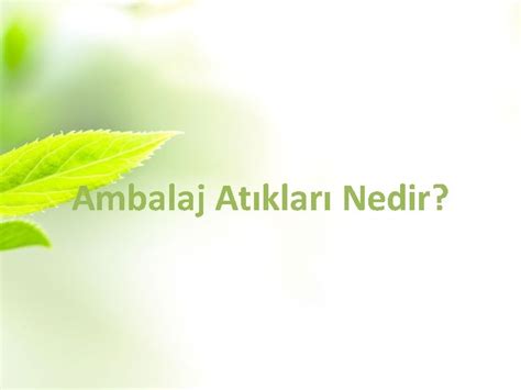 Büro Yönetimi Nedir