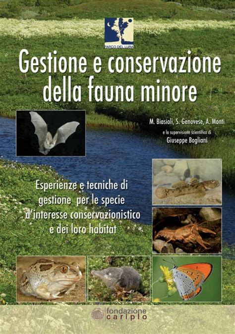 Full Download Brochure Dei Corsi Pdf Corso Di Studi Di Conservazione E 