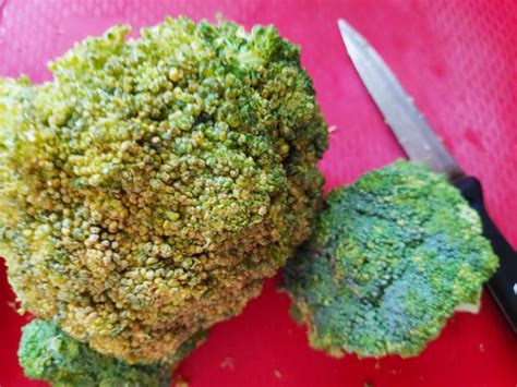 Rahasia Mengatasi Brokoli yang Menguning, Sayuran Tetap Segar dan Nikmat