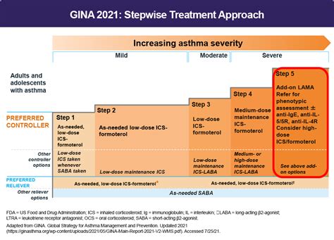 Read Bronchial Asthma Gina Guidelines 2013 