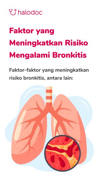 bronkitis menular | Apakah bronkitis bisa menular B Yu