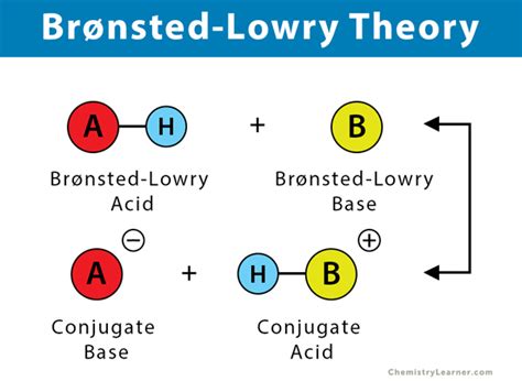Bronsted Lowry Theory Pathways To Chemistry Bronsted Lowry Acid Base Worksheet - Bronsted Lowry Acid Base Worksheet