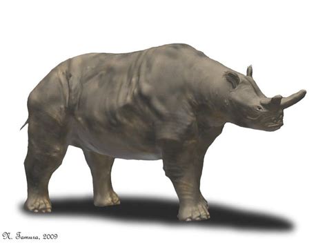 Brontotherium Max Height