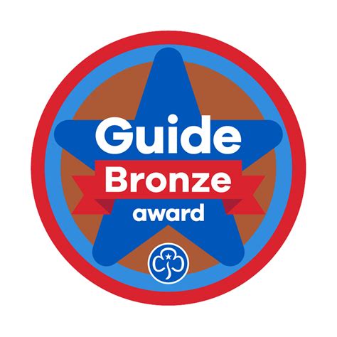Read Bronze Medallion Award Guide 