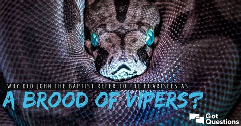 Brood Of Vipers