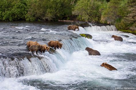 brooks falls alaska