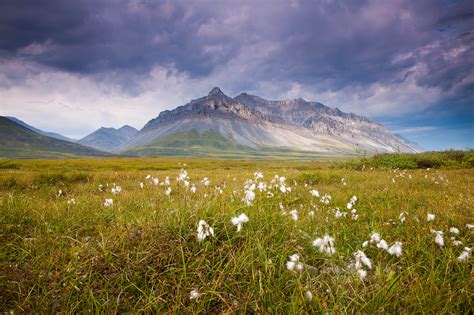brooks mountain range alaska