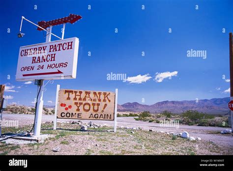 brothels nevada