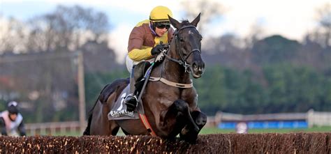 brown advisory novices chase