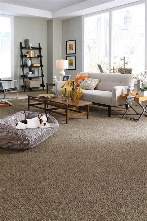 Brown Carpet Interior Design