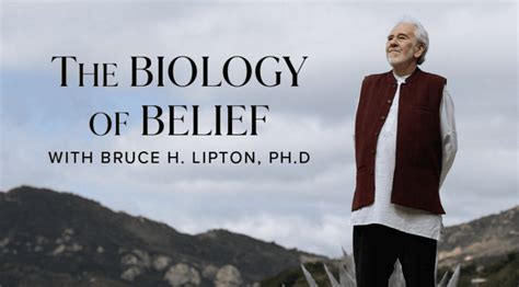 Bruce H Lipton