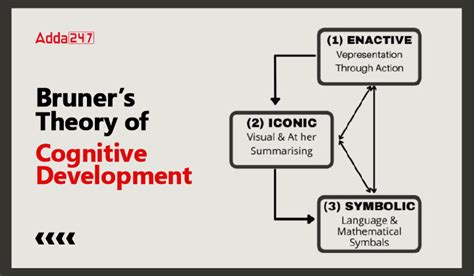 Bruner Theory Of Cognitive Development