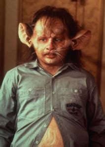Bruno From The Witches