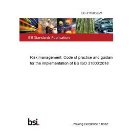 Download Bs 31100 Iso Guide 73 