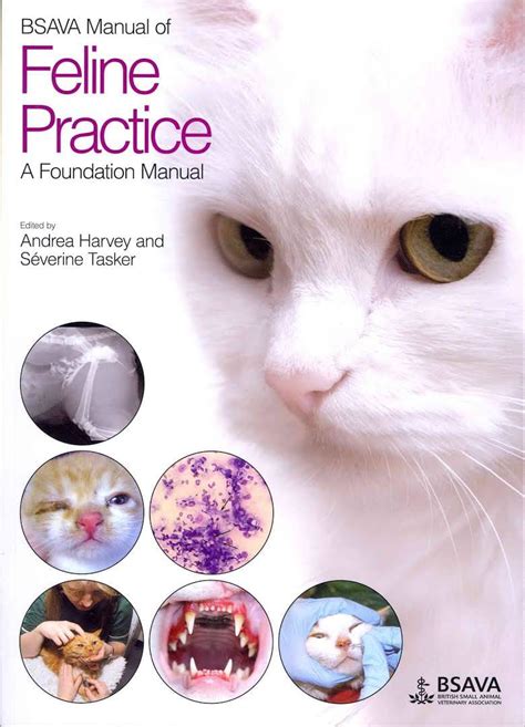 Bsava Of Feline Practice A Foundation