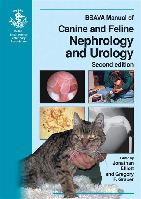 Full Download Bsava Of Canine And Feline Nephrology And Urology 