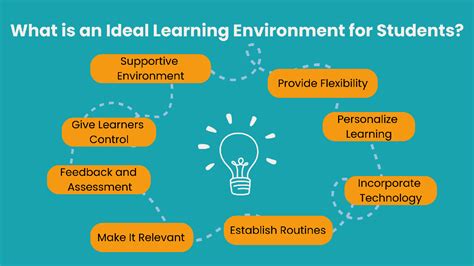 Download Bsbflm311C Support A Workplace Learning Environment 
