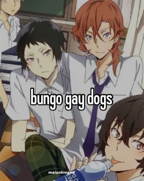 bsd gay