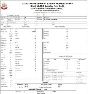 Bsf Pay Slip