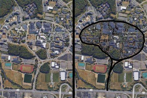 Bu Brain Binghamton