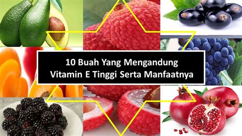 buah apa yang mengandung vitamin e