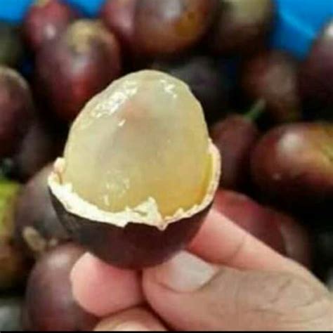 buah kelengkeng rasa durian