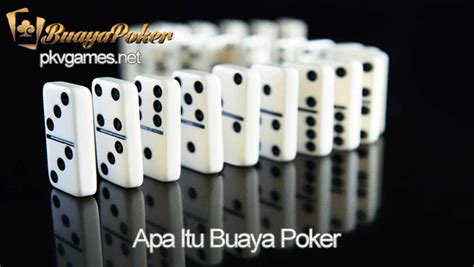 BUAYA POKER - BuayaPoker - Situs Judi Poker Online DominoQQ