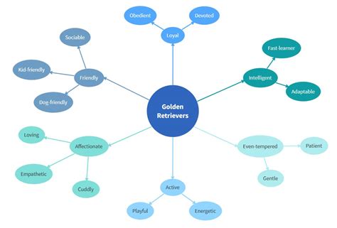 Bubble Map A Complete Guide To Using Bubble Graphic Organizer Bubble Map - Graphic Organizer Bubble Map