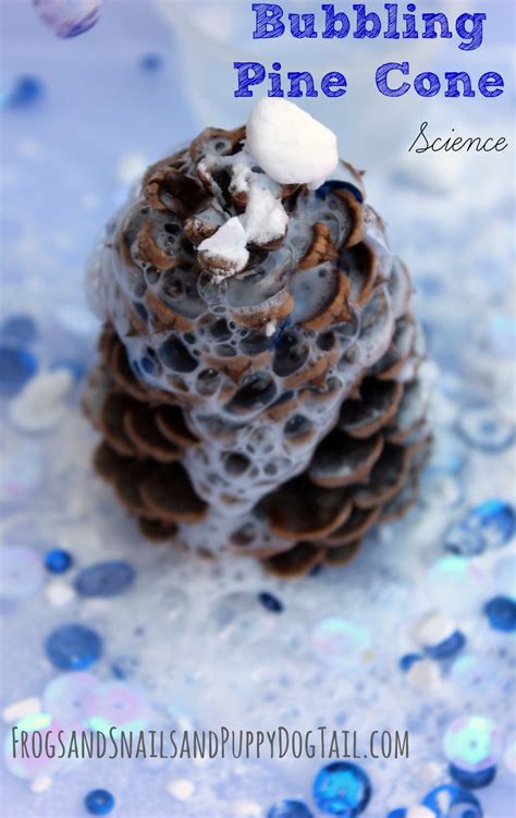Bubbling Pine Cone Science Fspdt Pine Cone Science Experiment - Pine Cone Science Experiment