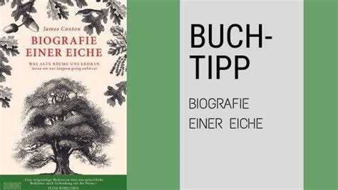 buchtipp biografie
