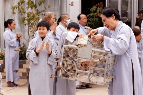 buddhist single men in birds landing