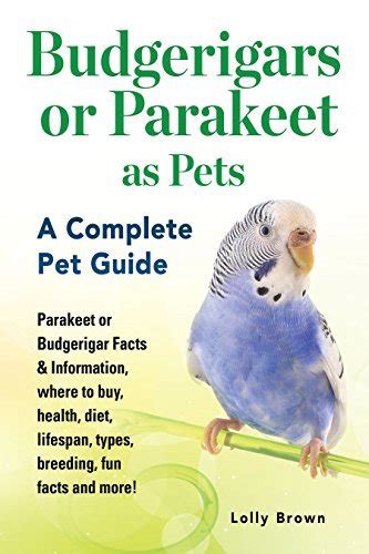 Read Budgerigars Or Parakeet As Pets Parakeet Or Budgerigar Facts Information Where To Buy Health Diet Lifespan Types Breeding Fun Facts And More A Complete Pet Guide 