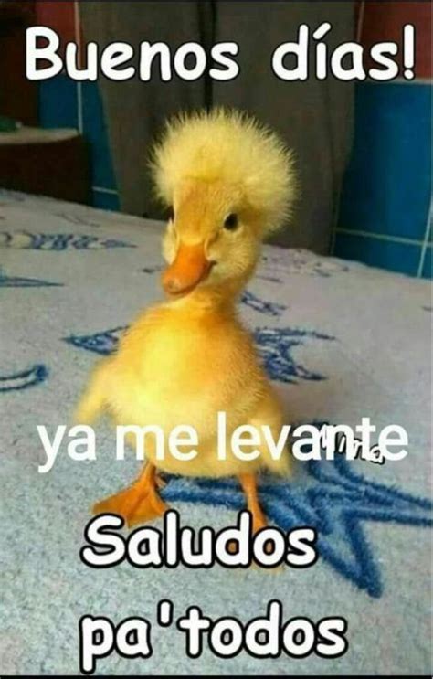 Buenos Días Graciosas