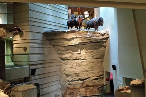 Buffalo Smashed In Head Jump