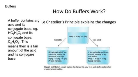 Buffer Function