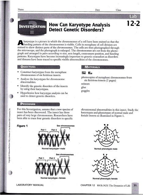 bug karyotype lab answers