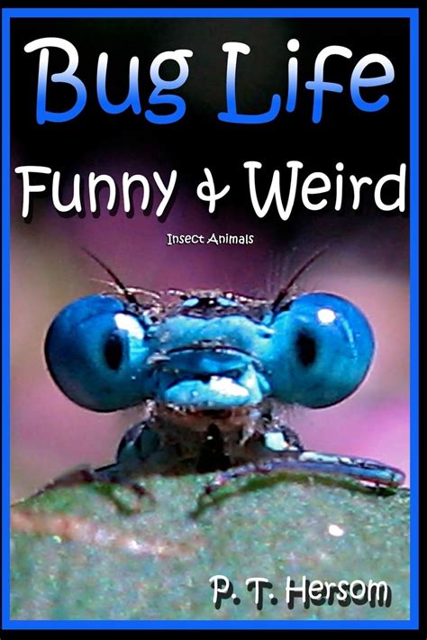Bug Life Funny Weird Insect Animals Learn With Am