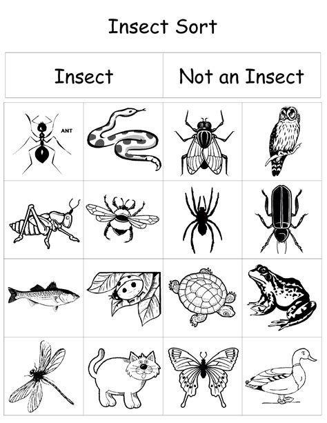 Bug Worksheets All Kids Network Preschool Bug Worksheets - Preschool Bug Worksheets