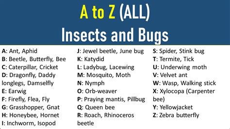 Bugs A To Z