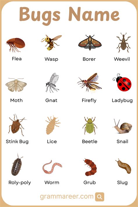 Bugs For Bugs