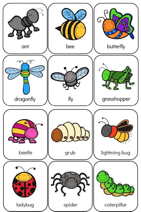 Bugs Free Pdf Download Learn Bright Insect Worksheet For First Grade - Insect Worksheet For First Grade