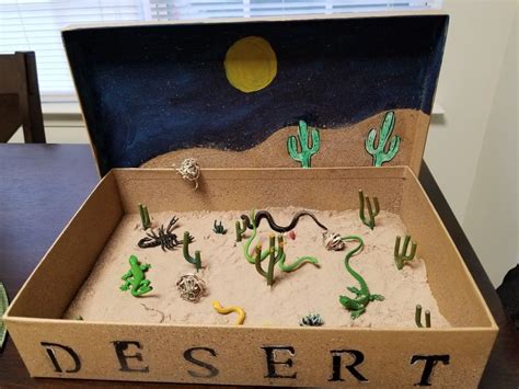 Build A Desert Biome Steamsational Desert Science Experiments - Desert Science Experiments