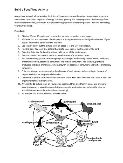 build a food web activity answers holyshitore