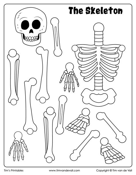 Build A Skeleton Printable Skeleton Activity For Kindergarten - Skeleton Activity For Kindergarten