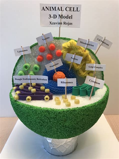 Download Build A Cell Project 