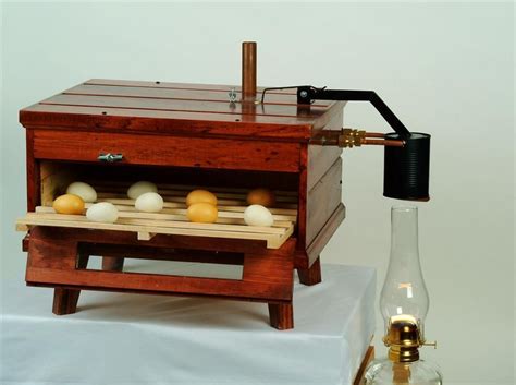 Read Online Build A Kerosene Egg Incubator 