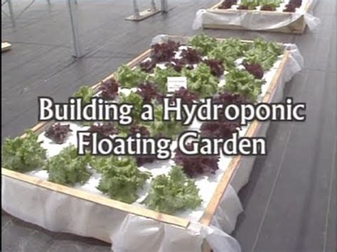 Read Online Building A Floating Hydroponic Garden 