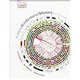 Download Building Bioinformatics Solutions With Perl R And Mysql 