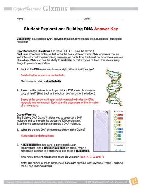 Full Download Building Dna Gizmo Answer Document 